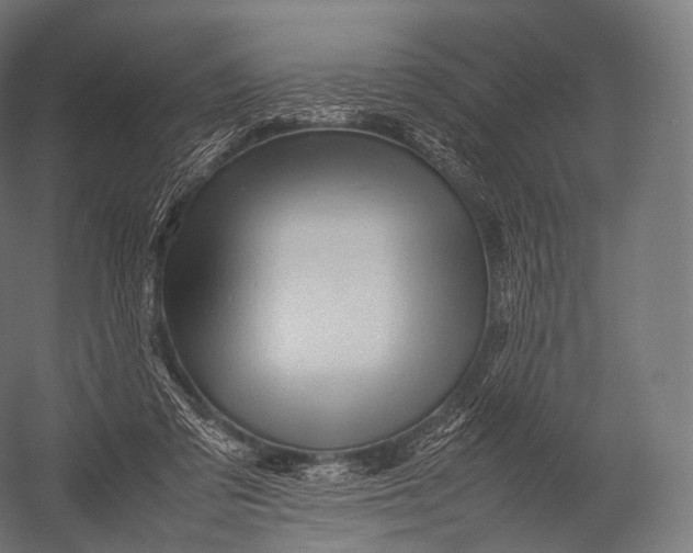 X0000052950309200507300052