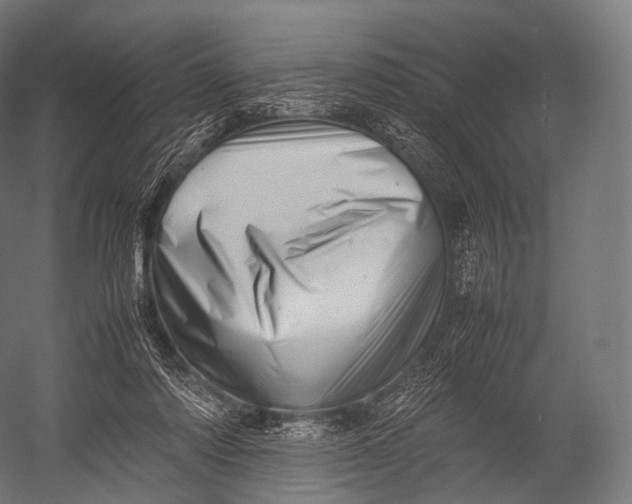 X0000052950310200507300052