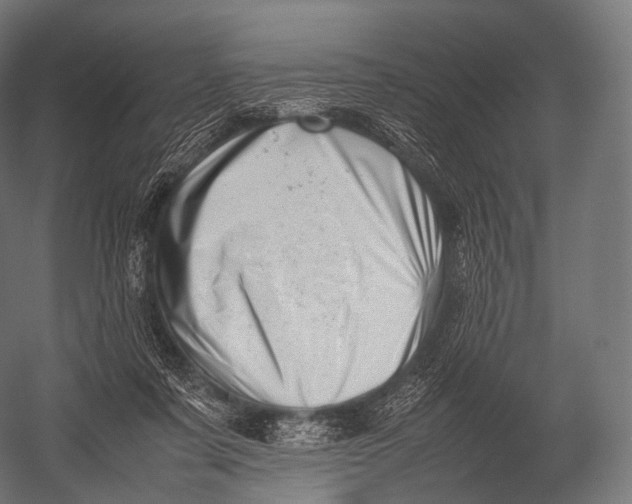 X0000052950311200507300052
