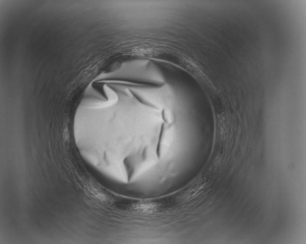 X0000052950313200507300052