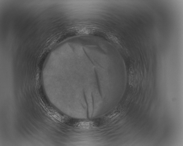 X0000052950314200507300052