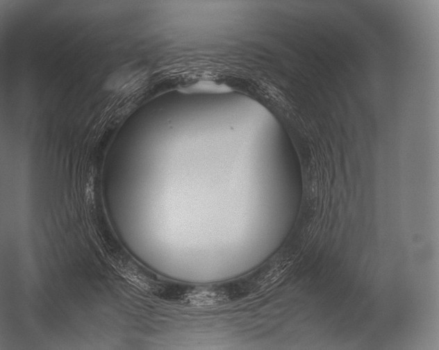 X0000052950315200507300052