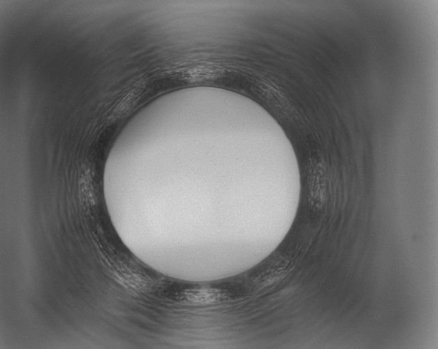 X0000052950316200507300052