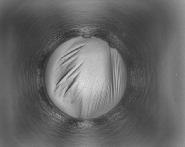 X0000052950318200507300052