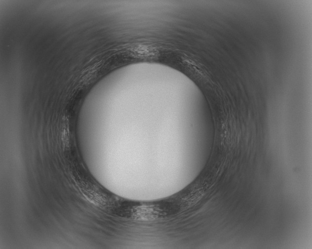 X0000052950320200507300052