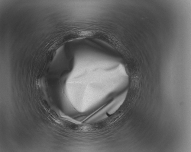 X0000052950325200507300052