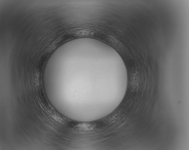 X0000052950326200507300052