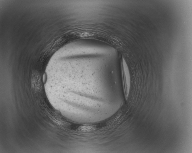 X0000052950327200507300052