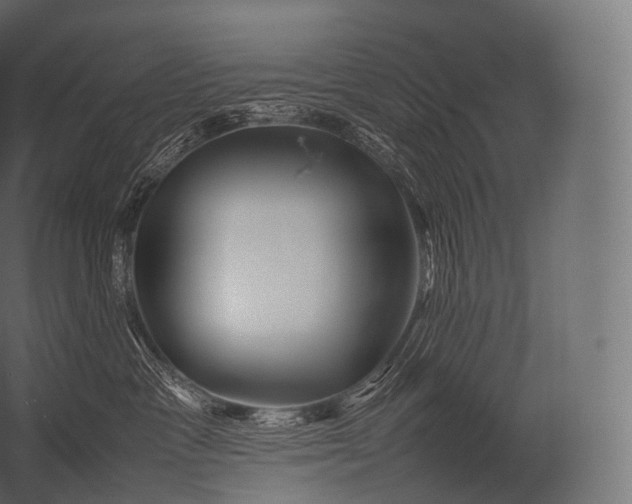X0000052950333200507300051