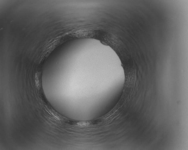 X0000052950335200507300051