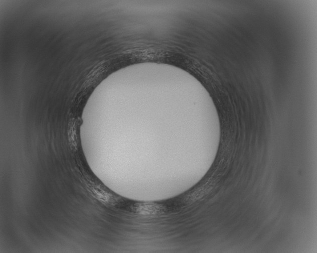 X0000052950336200507300051