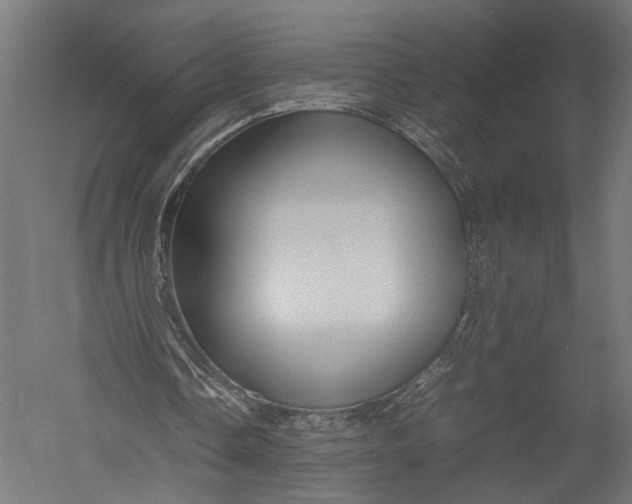 X0000052950338200507300051