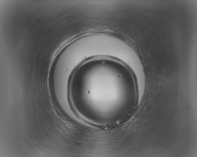 X0000052950340200507300051