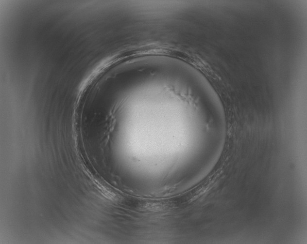 X0000052950341200507300051