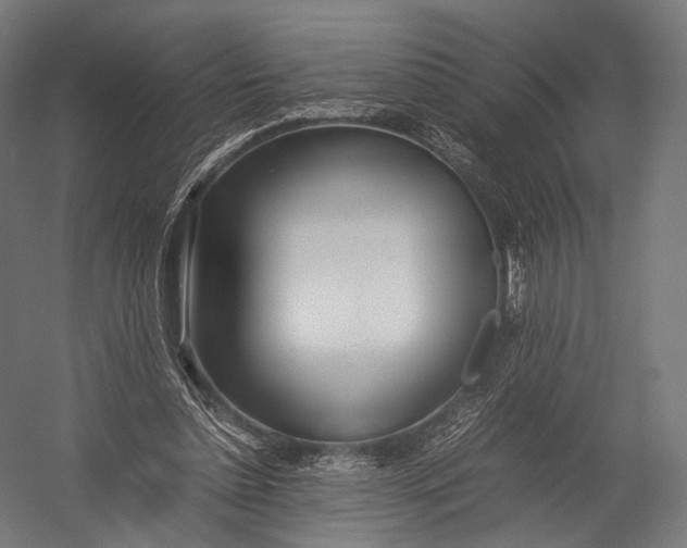 X0000052950348200507300051