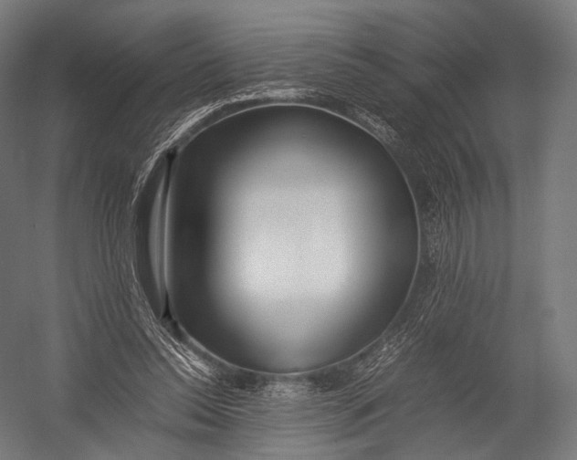 X0000052950350200507300051