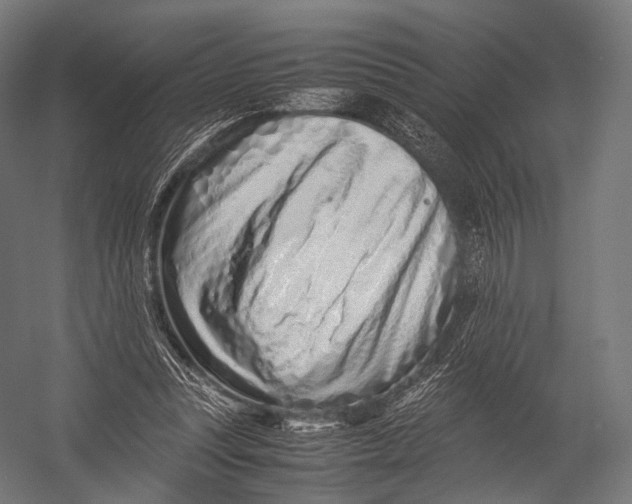 X0000052950351200507300051