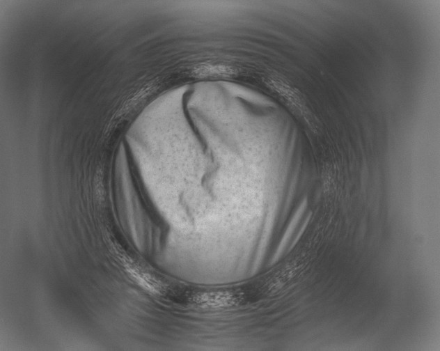 X0000052950353200507300051