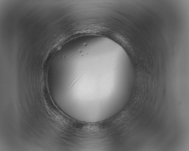 X0000052950354200507300051