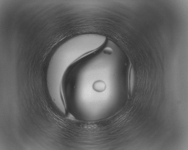 X0000052950355200507300051