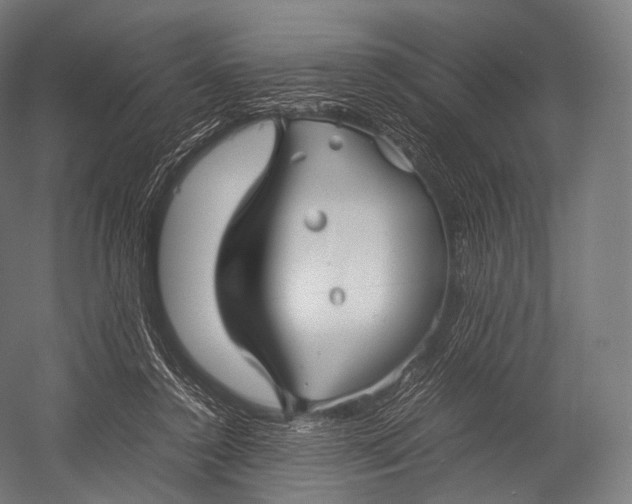 X0000052950356200507300051
