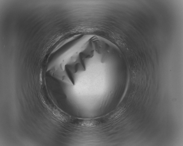X0000052950358200507300051