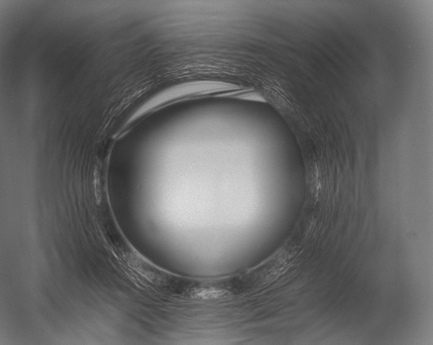 X0000052950360200507300051