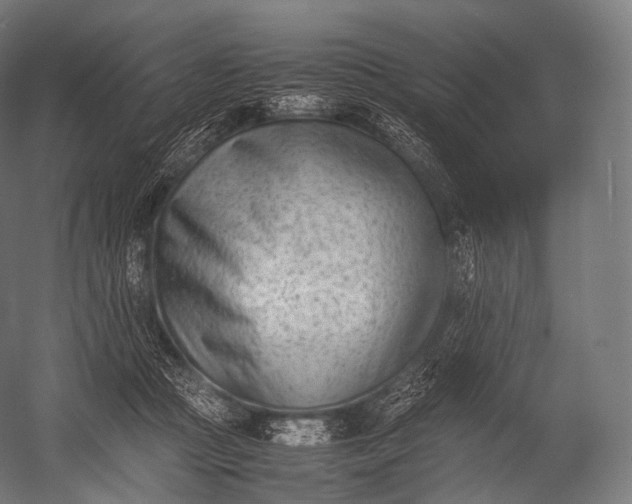 X0000052950361200507300051