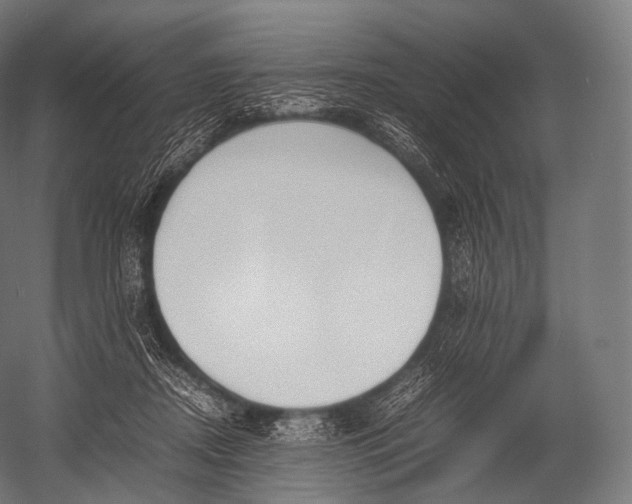 X0000052950362200507300051