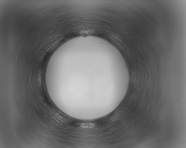 X0000052950363200507300051