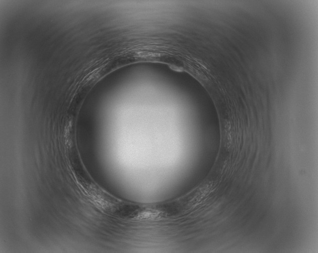 X0000052950364200507300051
