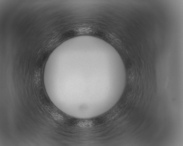 X0000052950369200507300051