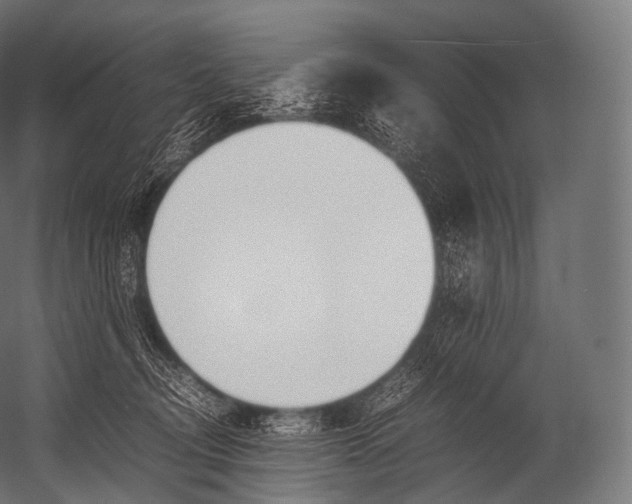 X0000052950370200507300051
