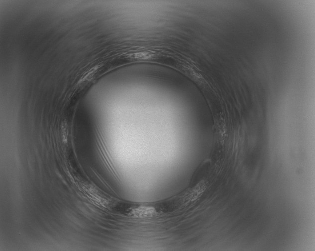 X0000052950374200507300051