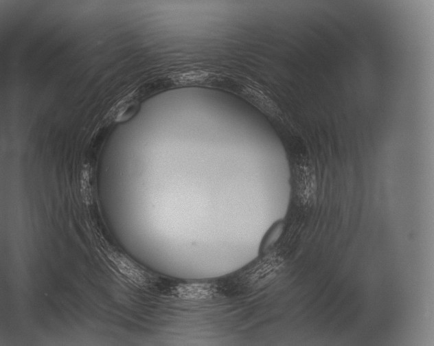 X0000052950378200507300051