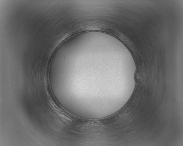 X0000052950386200507300051