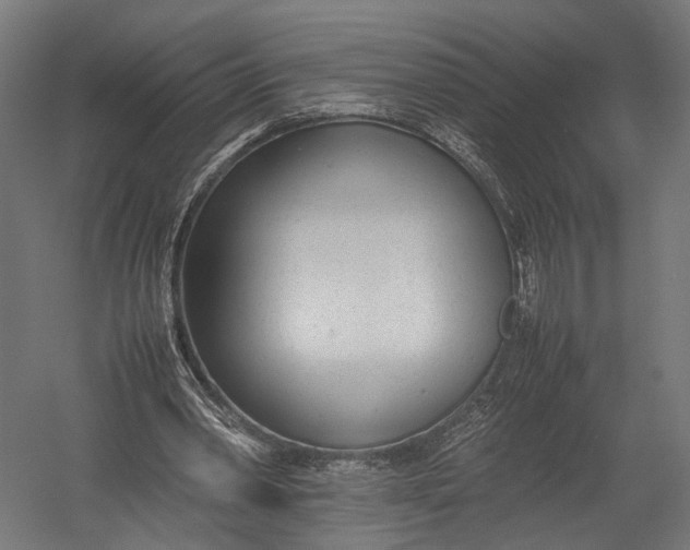X0000052950390200507300051
