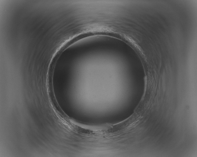 X0000052950391200507300051