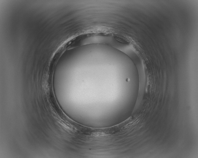 X0000052950392200507300050
