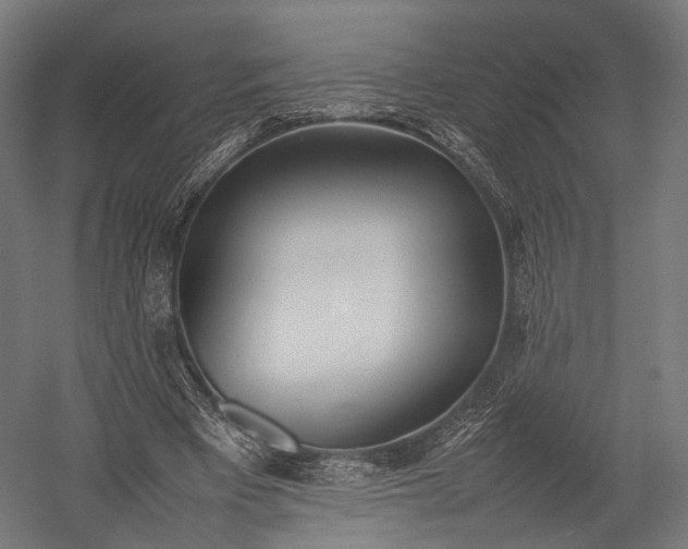 X0000052950393200507300050