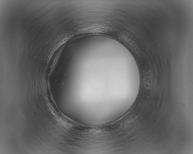X0000052950394200507300050