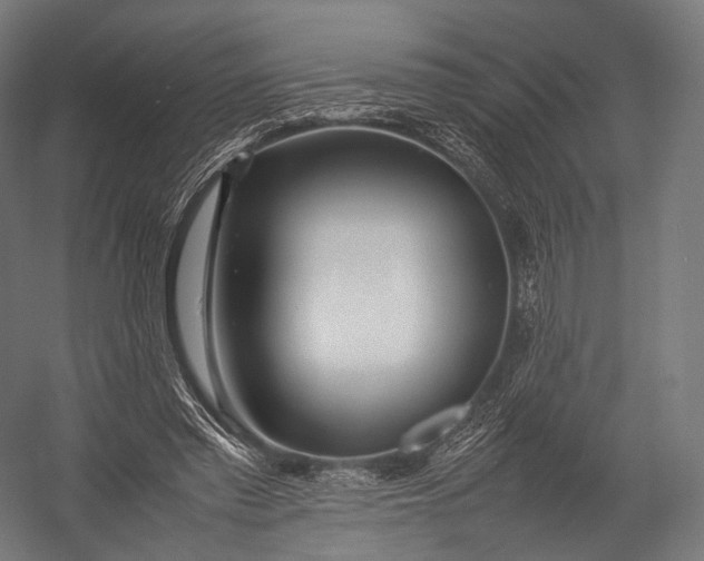 X0000052950397200507300050