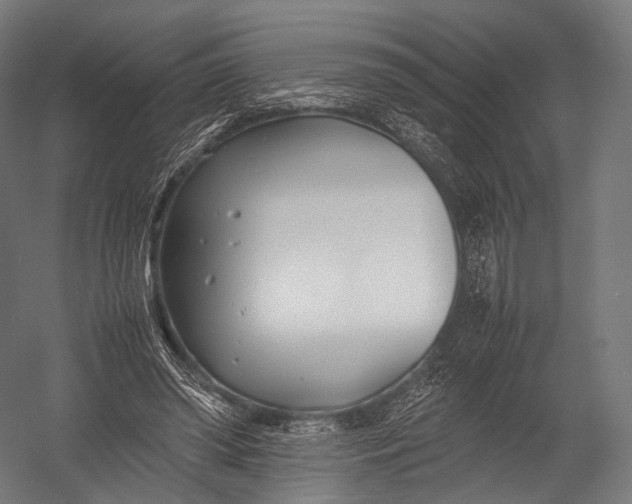 X0000052950398200507300050
