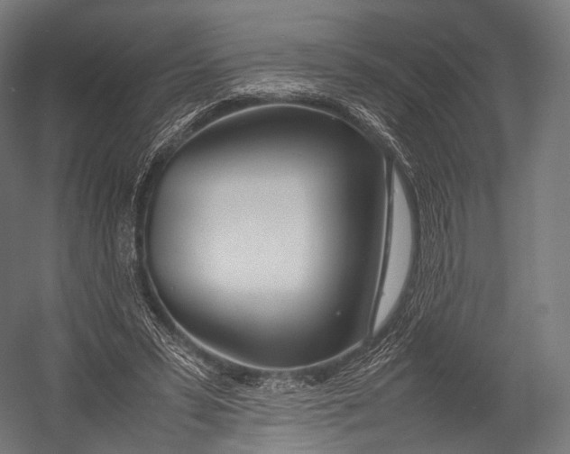 X0000052950399200507300050