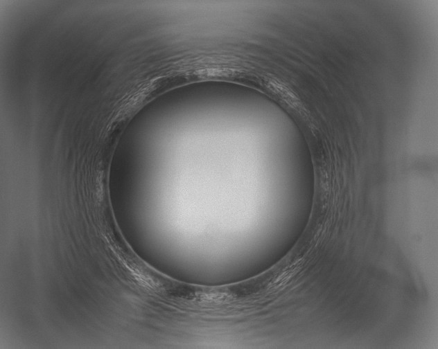 X0000052950401200507300050