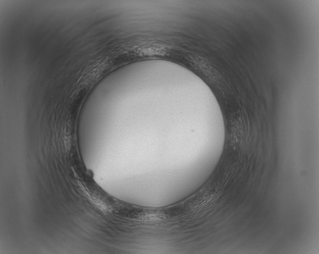 X0000052950402200507300050