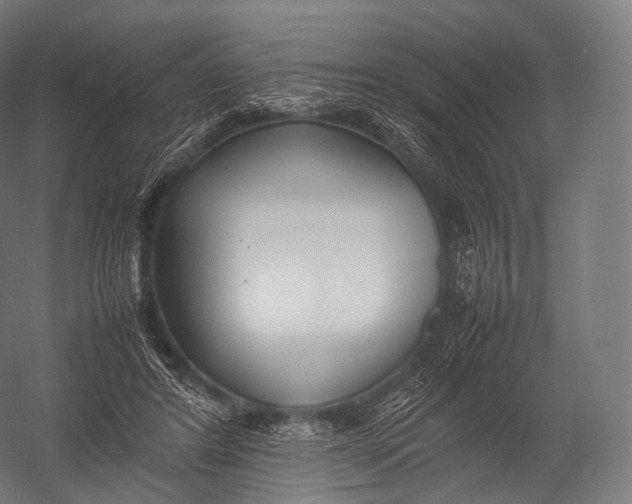 X0000052950404200507300050