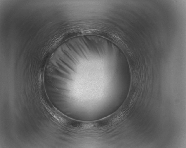 X0000052950405200507300050