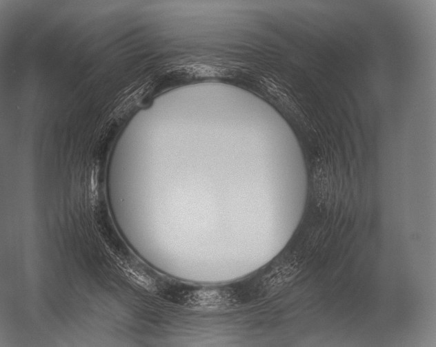 X0000052950406200507300050