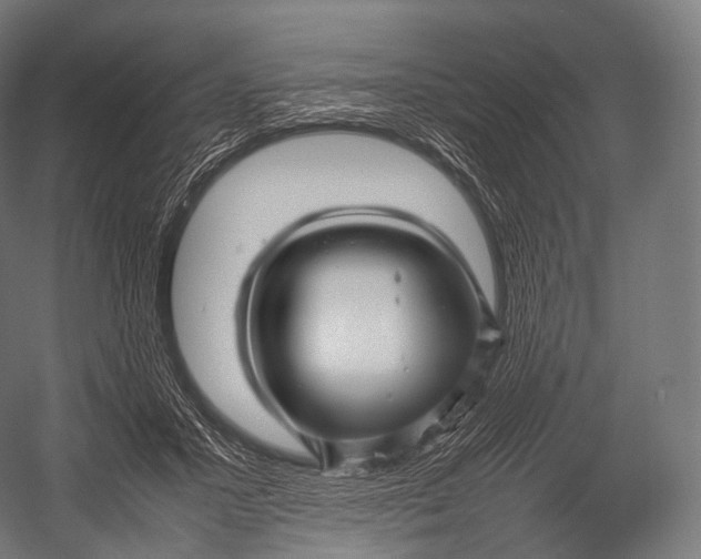 X0000052950407200507300050